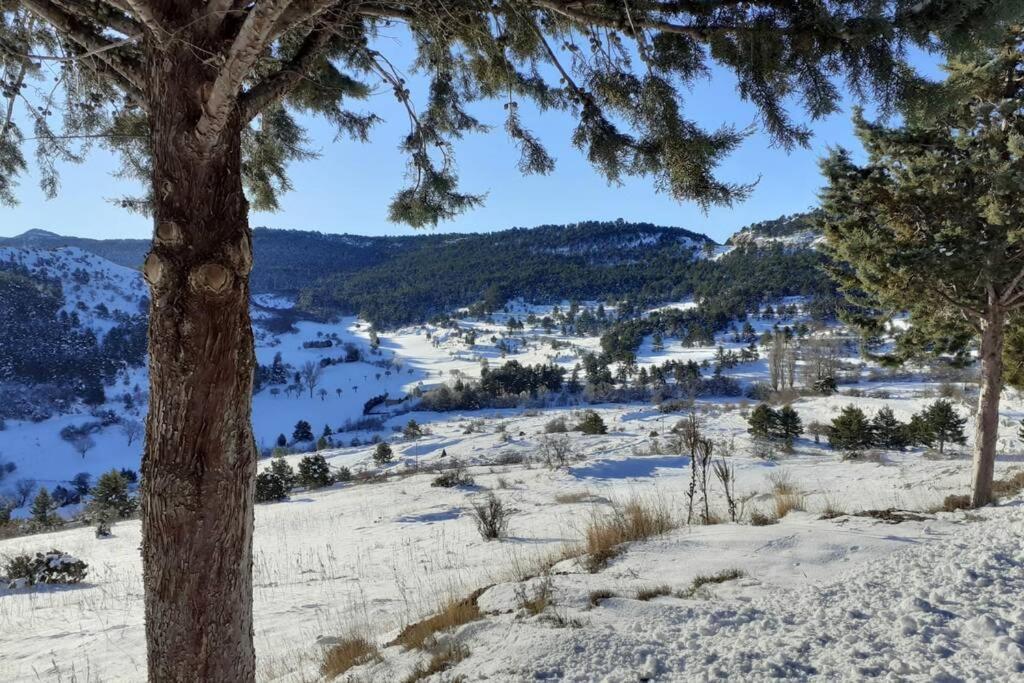 Apartamento Solano - Virgen De La Vega - Alcala Ideal Montana Y Relax テルエル エクステリア 写真